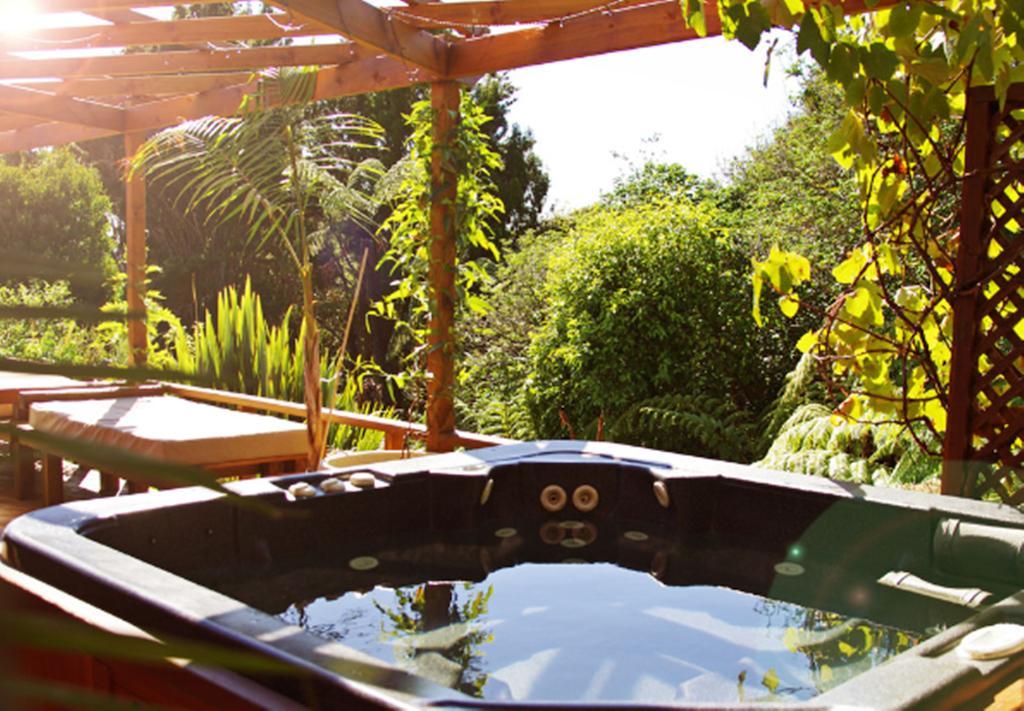 Waoku Lodge Raglan Exterior foto